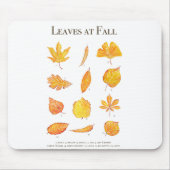 黄葉色秋 マウスパッド (正面)