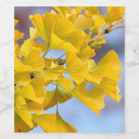 黄葉銀杏 ワインラベル (シングルラベル)