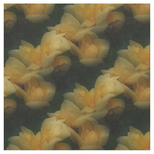 黄薔薇の花自然 ファブリック (クローズアップ)