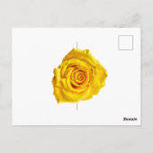 黄薔薇 ポストカード (裏面)