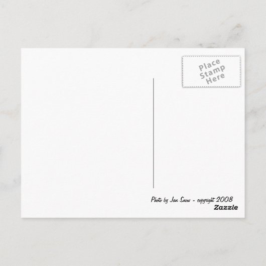 黄蘭の写し ポストカード (裏面)