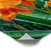 黄蘭の花 ポスター (角)