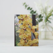 黄蘭 ポストカード (スタンド正面)