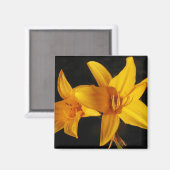 黄蘭 マグネット (正面/裏面)