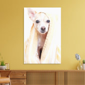 黄褐色と白のチワワはタオルの下に座る キャンバスプリント (インサイチュ (リビング))