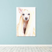 黄褐色と白のチワワはタオルの下に座る キャンバスプリント (インサイチュ (ウッドフロア))