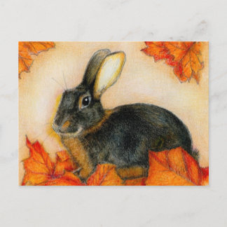 黄褐色と黒色 ポストカード