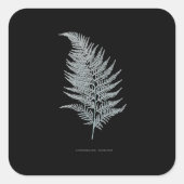 黄褐色のシダの葉、 Gymnogramma ochracea スクエアシール (正面)