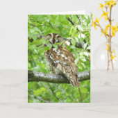 黄褐色のフクロウ カード (黄色い花)