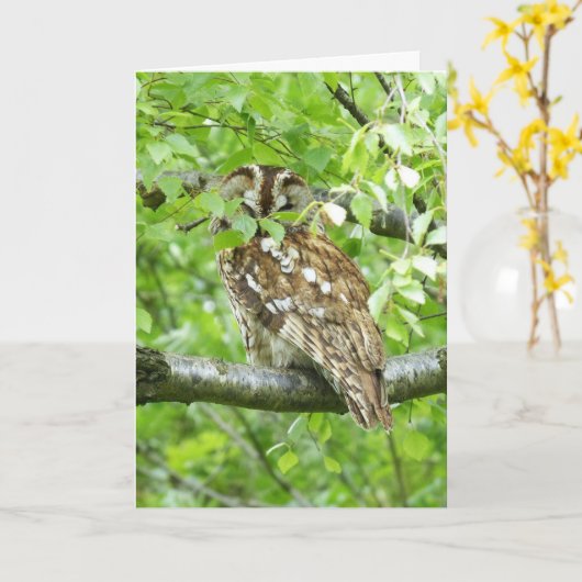 黄褐色のフクロウ カード (黄色い花)