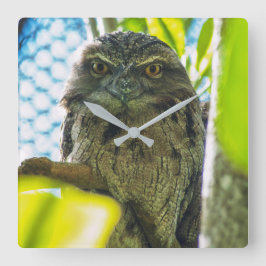 黄褐色はフクロウではないです スクエア壁時計