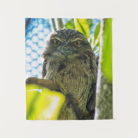 黄褐色はフクロウ タペストリー (正面)