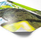 黄褐色はフクロウ フォトプリント (角)