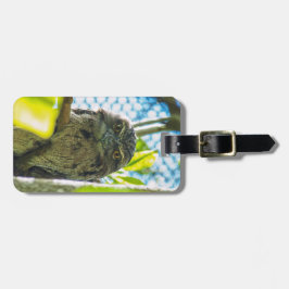 黄褐色はフクロウ ラゲッジタグ