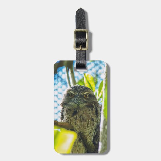 黄褐色はフクロウ ラゲッジタグ (正面縦)