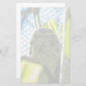 黄褐色はフクロウ 便箋 (正面/裏面)