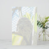 黄褐色はフクロウ 便箋 (スタンド正面)