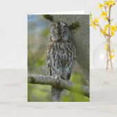 黄褐色 カード (黄色い花)