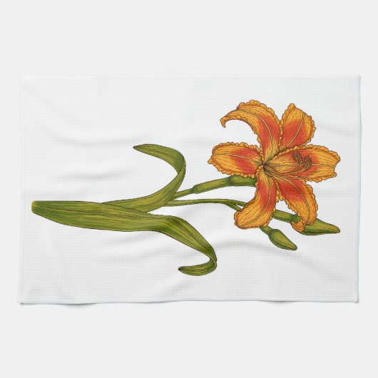 黄褐色 キッチンタオル (横)