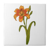 黄褐色 タイル (正面)