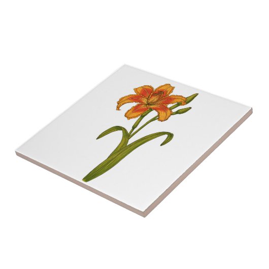 黄褐色 タイル (側面)