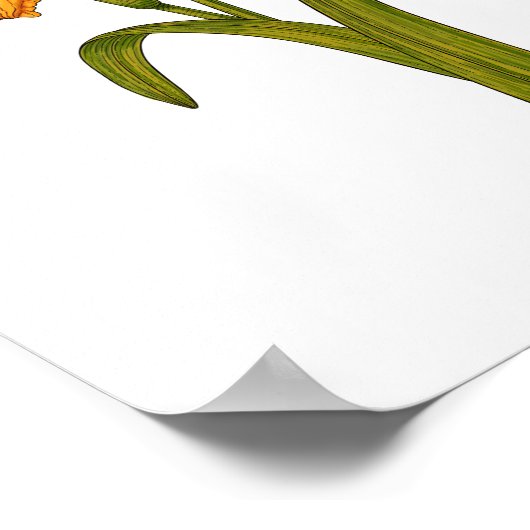 黄褐色 ポスター (角)