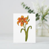 黄褐色 ポストカード (スタンド正面)