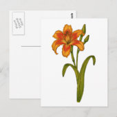 黄褐色 ポストカード (正面/裏面)