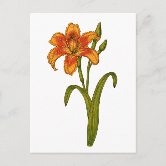 黄褐色 ポストカード (正面)