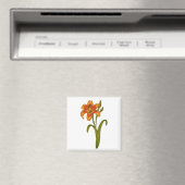 黄褐色 マグネット (インサイチュ (食洗機))