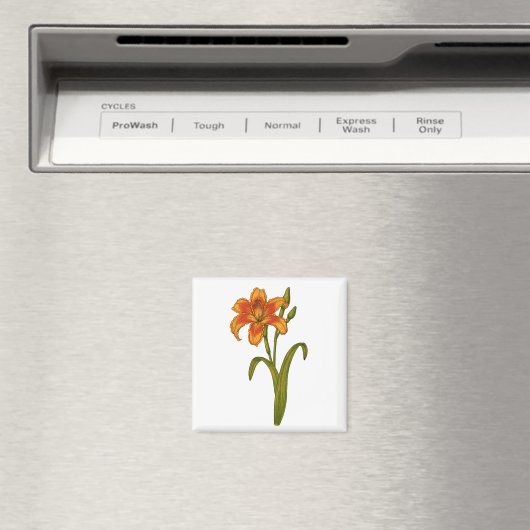 黄褐色 マグネット (インサイチュ (食洗機))