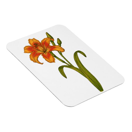 黄褐色 マグネット (右側)