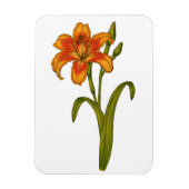 黄褐色 マグネット (縦)