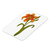 黄褐色 マグネット (左側)