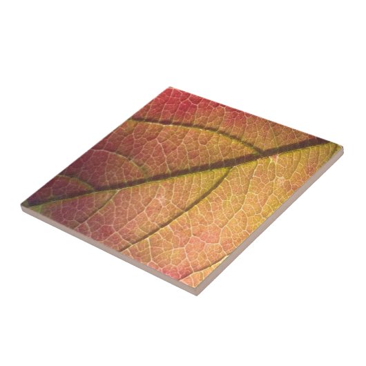 黄赤秋葉 タイル (側面)