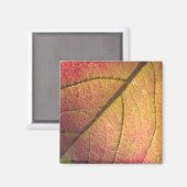 黄赤秋葉 マグネット (正面/裏面)