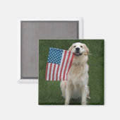 黄金のお祝い マグネット (正面/裏面)