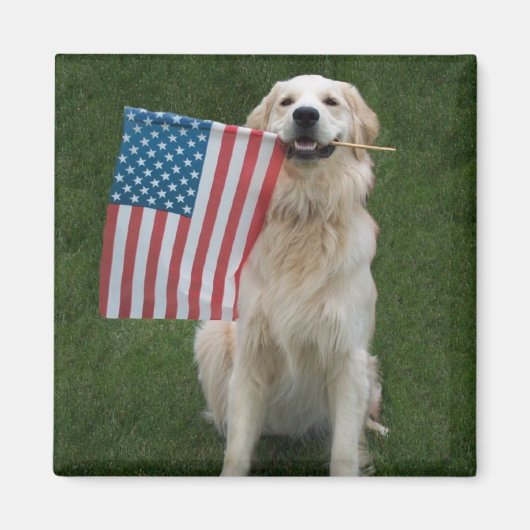 黄金のお祝い マグネット (正面)