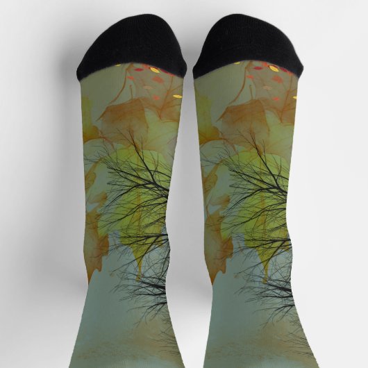 黄金のエコー：秋の反射 ソックス (上部)