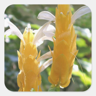 黄金のエビの植物の花のシール スクエアシール