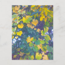 黄金のクローズアップ