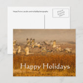 黄金のフィールドに佇むコウテン, ハッピーホリデー シーズンポストカード (正面/裏面)