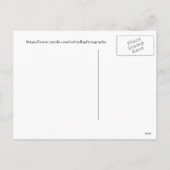 黄金のフィールドに佇むコウテン, ハッピーホリデー シーズンポストカード (裏面)