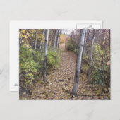 黄金のメダリオンが小道を覆っている ポストカード (正面/裏面)