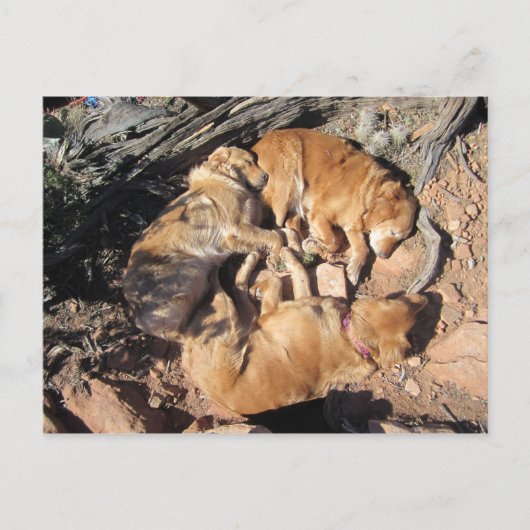 黄金の三角形 ポストカード (正面)