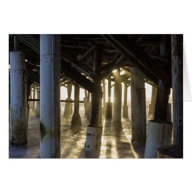 黄金の光が差し込む (正面横)