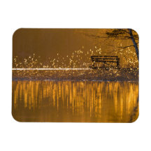 黄金の光の中の湖のそばの孤独なベンチ