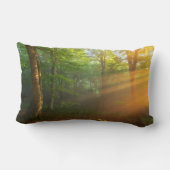 黄金の光の瞬間 ランバークッション (裏面)