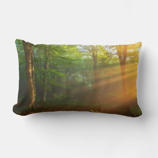 黄金の光の瞬間 ランバークッション (正面)