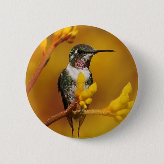 黄金の光 缶バッジ (正面)